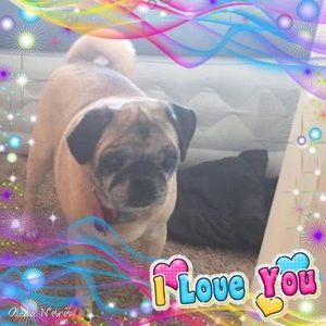 Meet your Posher, Christopher